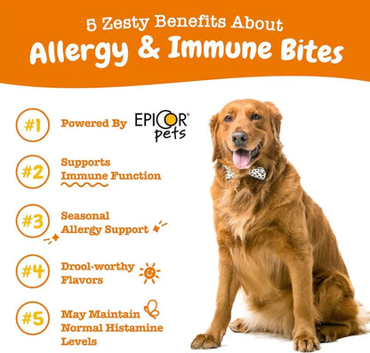 Zesty Paws Allergy & Immune Bites, Soft Chews Treats for Dogs’ Gut & Immune Health