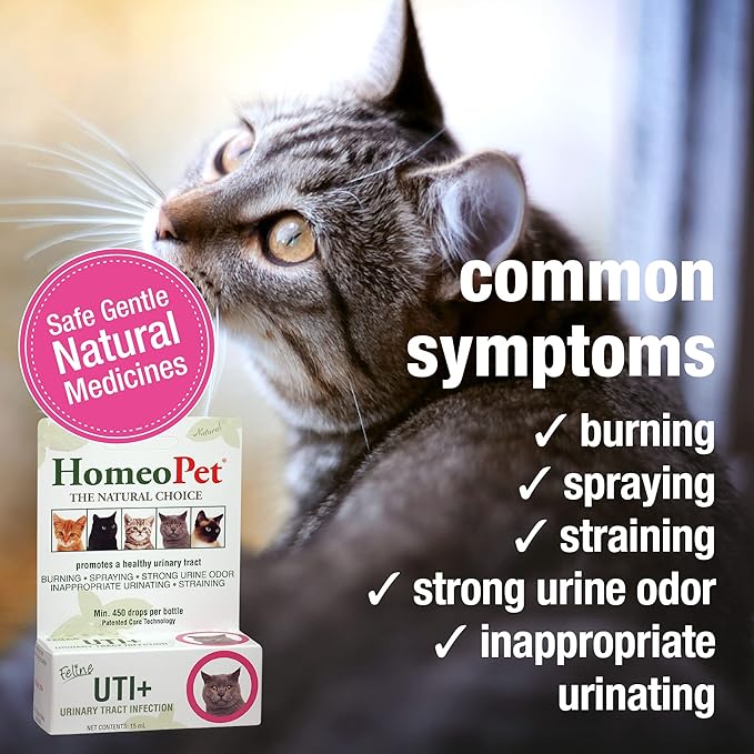 Feline UTI Support Drops – Natural Urinary Tract Formula for Cats (15ml)